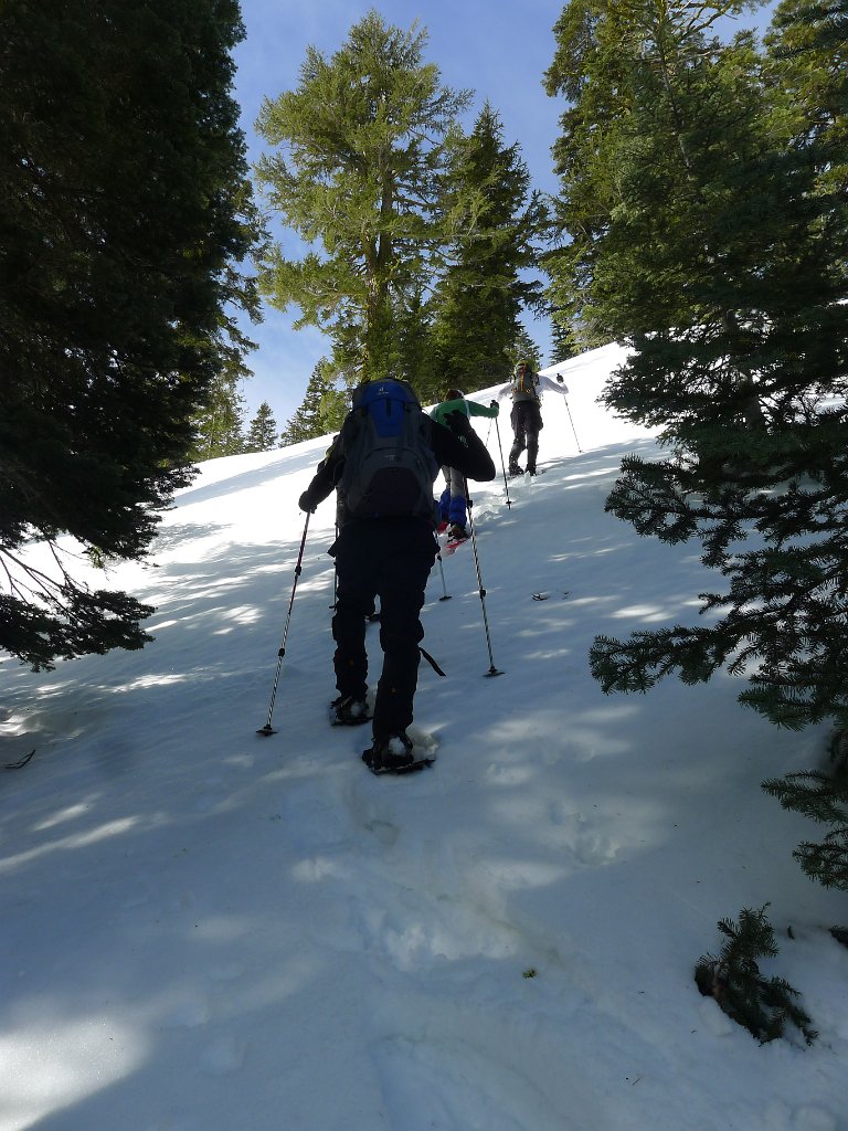 Lassen 044